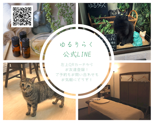 78025923-539C-4938-8C61-72E0A60D484A